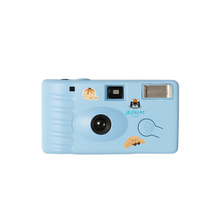 Disposable camera